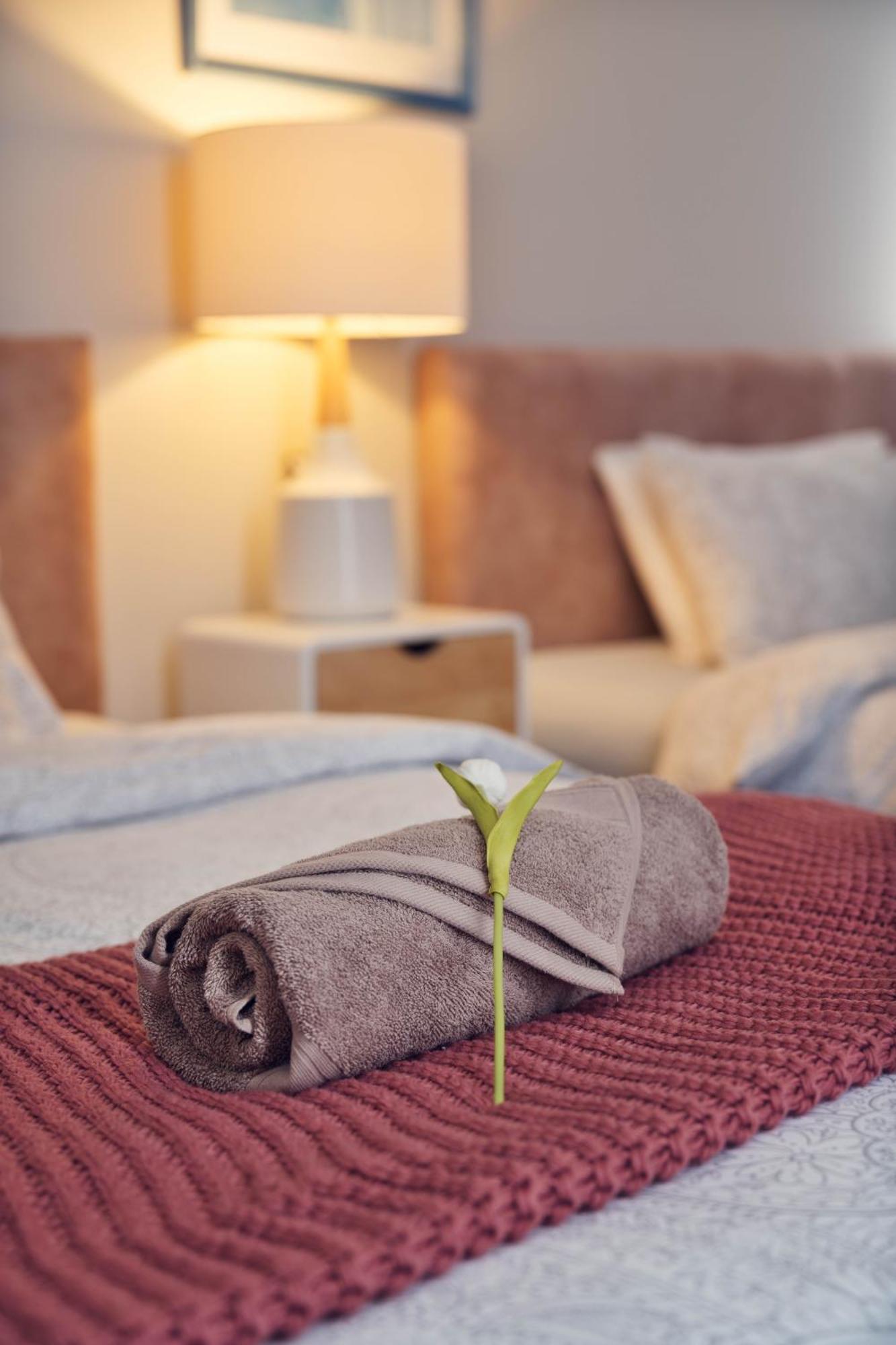 Alpaca Manor Auckland Apartment Екстериор снимка